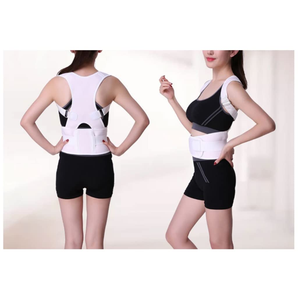 Snowflyk Back Support Posture Corrector